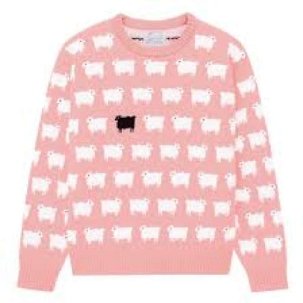 Warm and Wonderful Pink 🩷 Sheep 🐑 Sweater